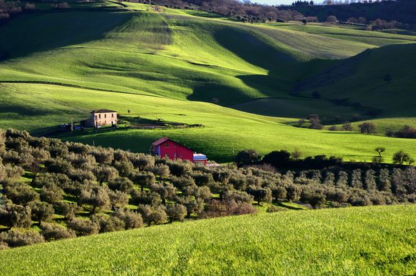casetta rossa nel verde