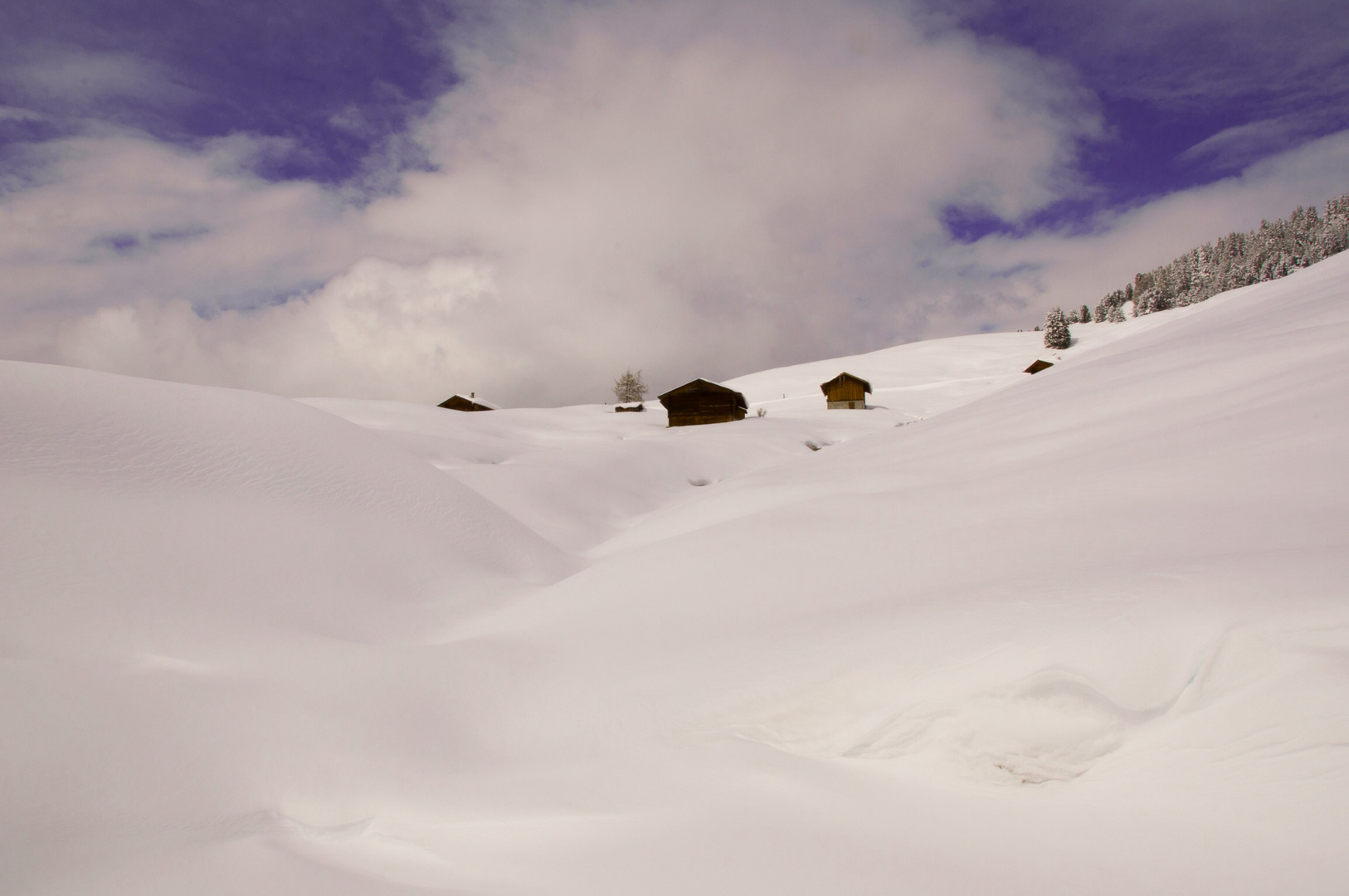 Casette tra la neve