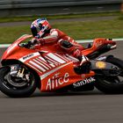 Casey Stoner in Brno MotoGP 2008