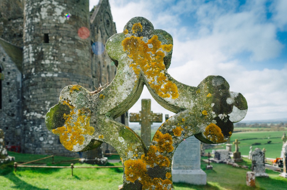 Cashel