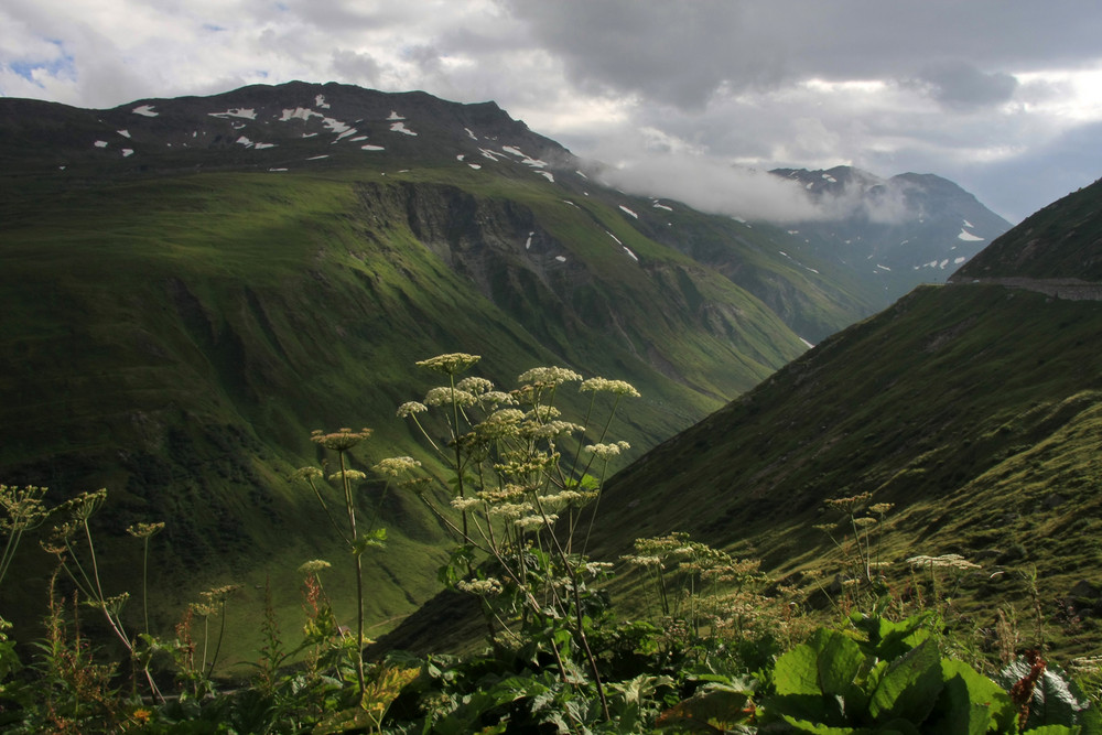 Casi, casi en el cielo ... Alpes Suizos