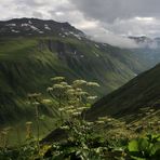 Casi, casi en el cielo ... Alpes Suizos