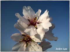 Casi, casi primavera