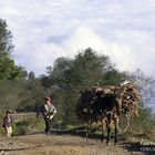 Casi en el techo de México