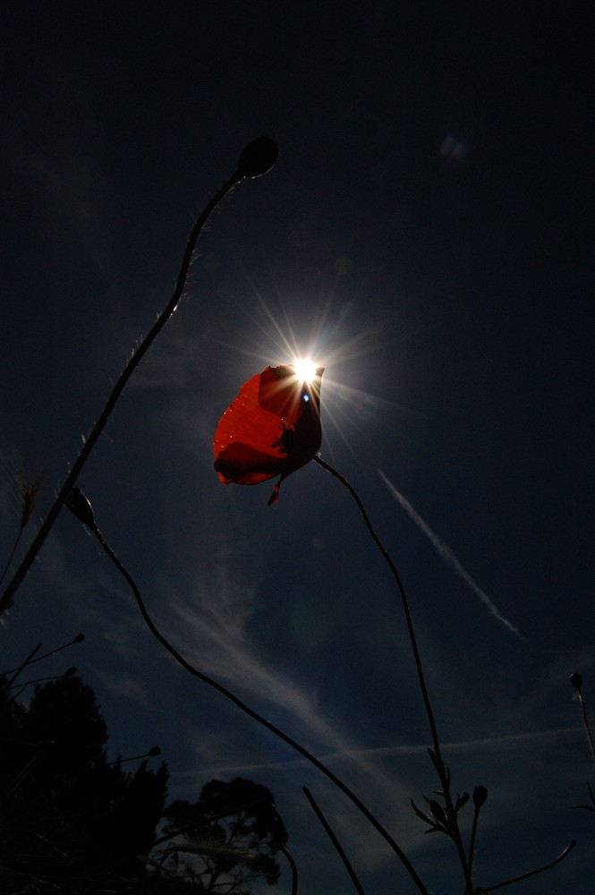 casi un eclipse