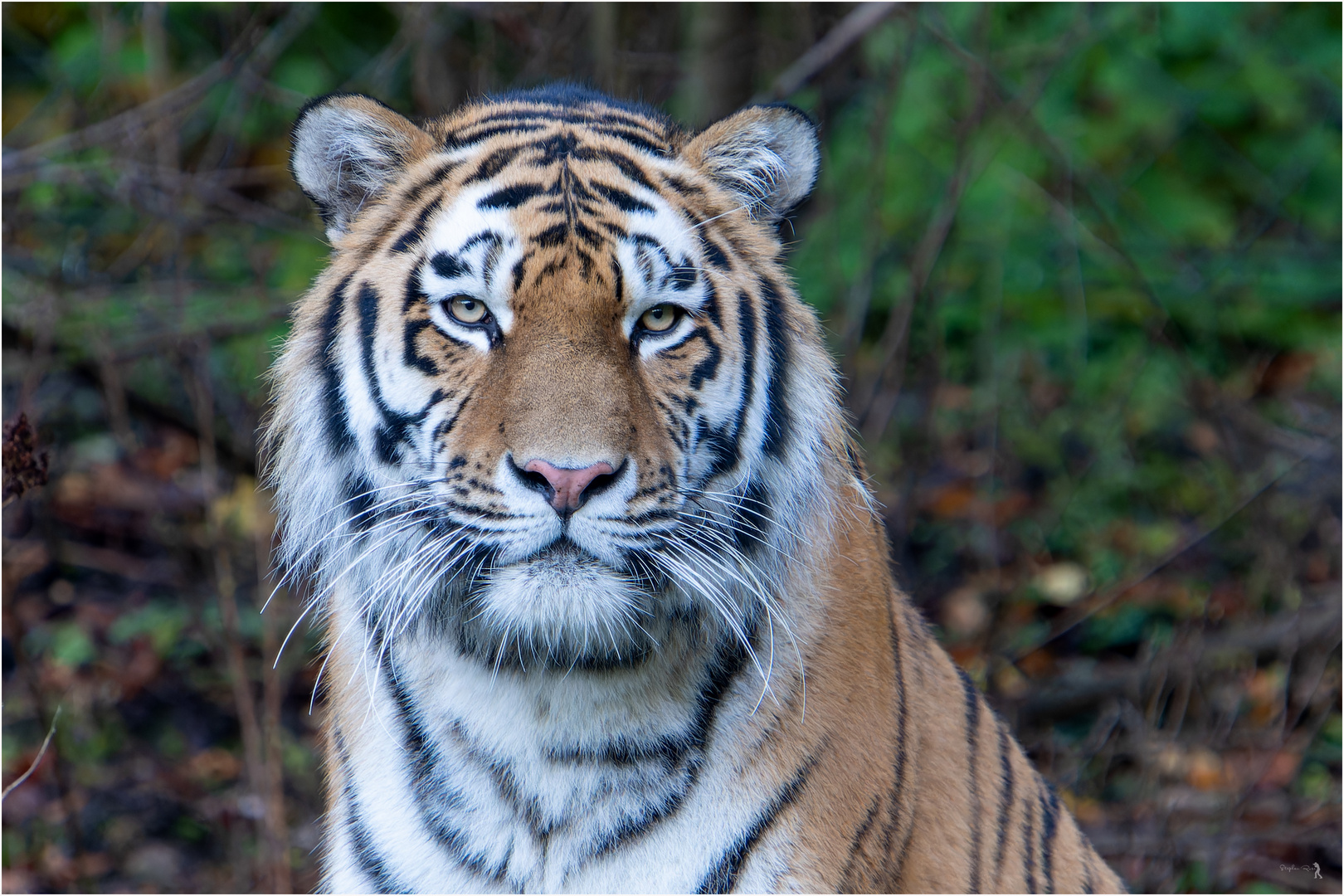 Casimir Foto & Bild fotos, world, outdoor Bilder auf