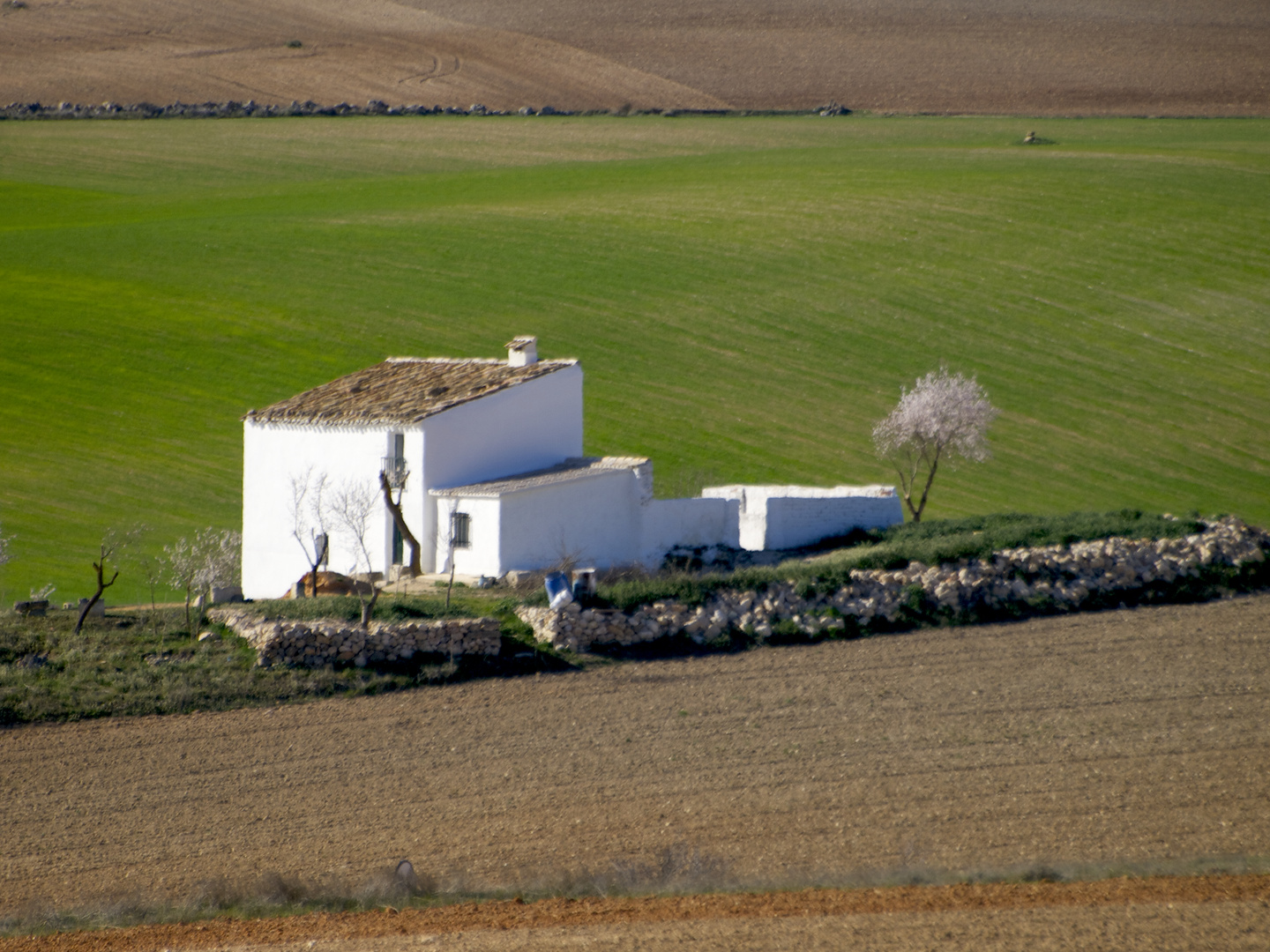 Casita blanca