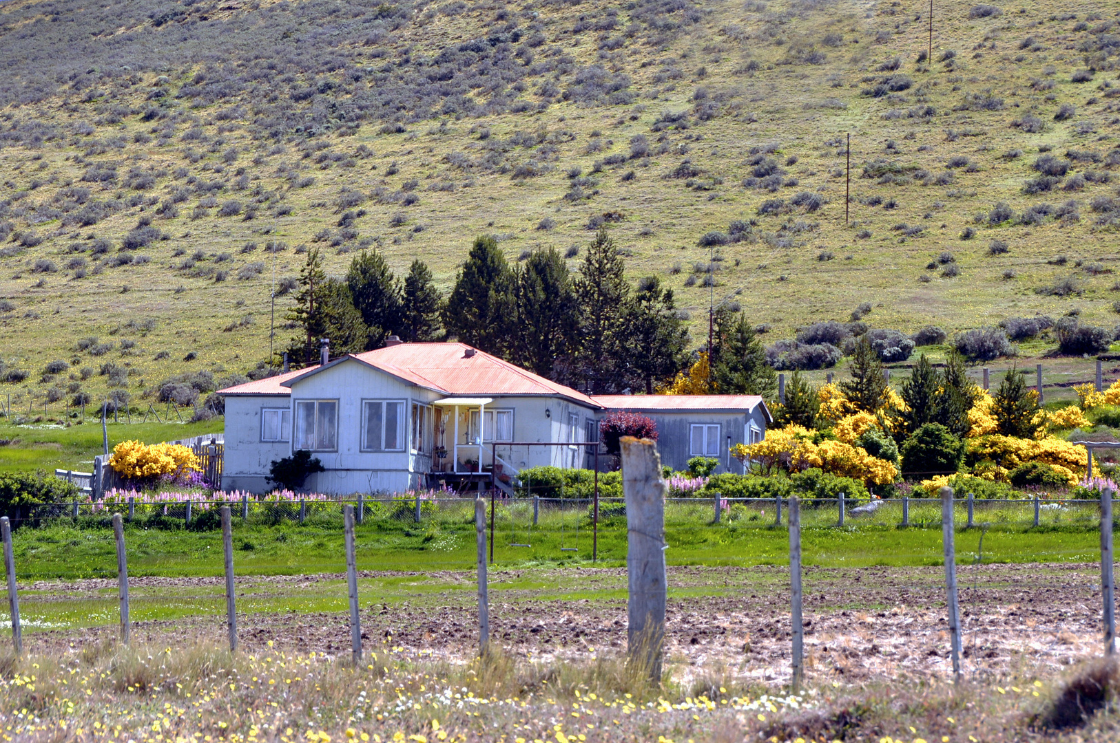 Casita clinda