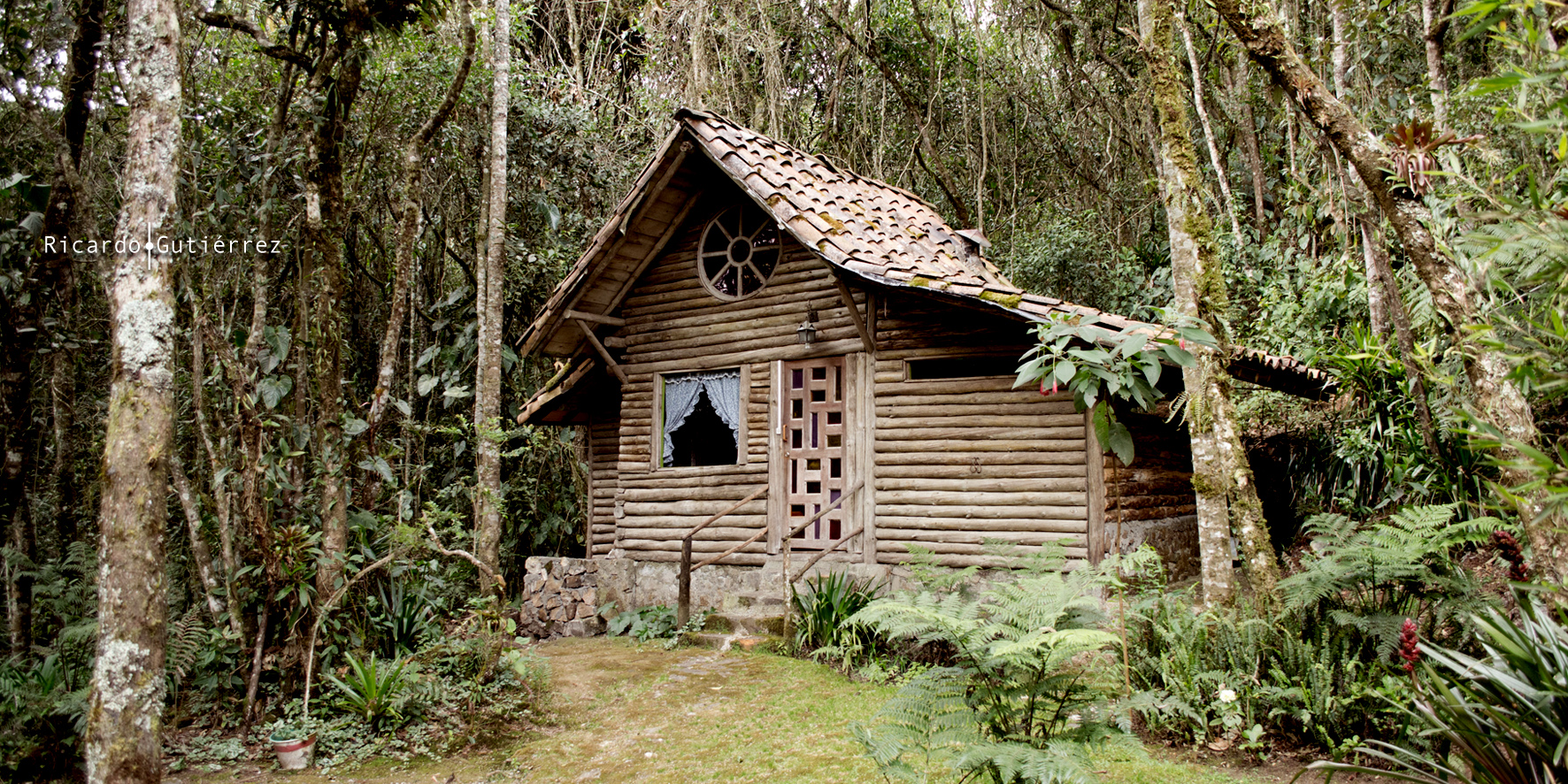 Casita en el Bosque