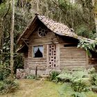 Casita en el Bosque