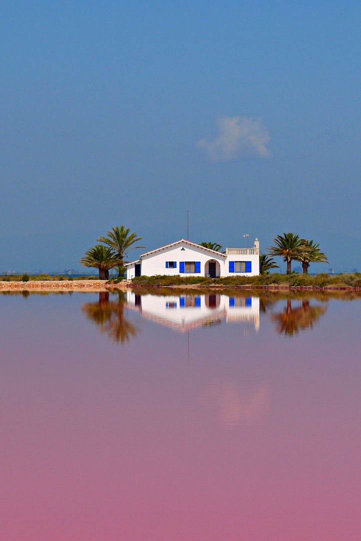 Casita en el Delta