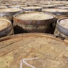 Casks