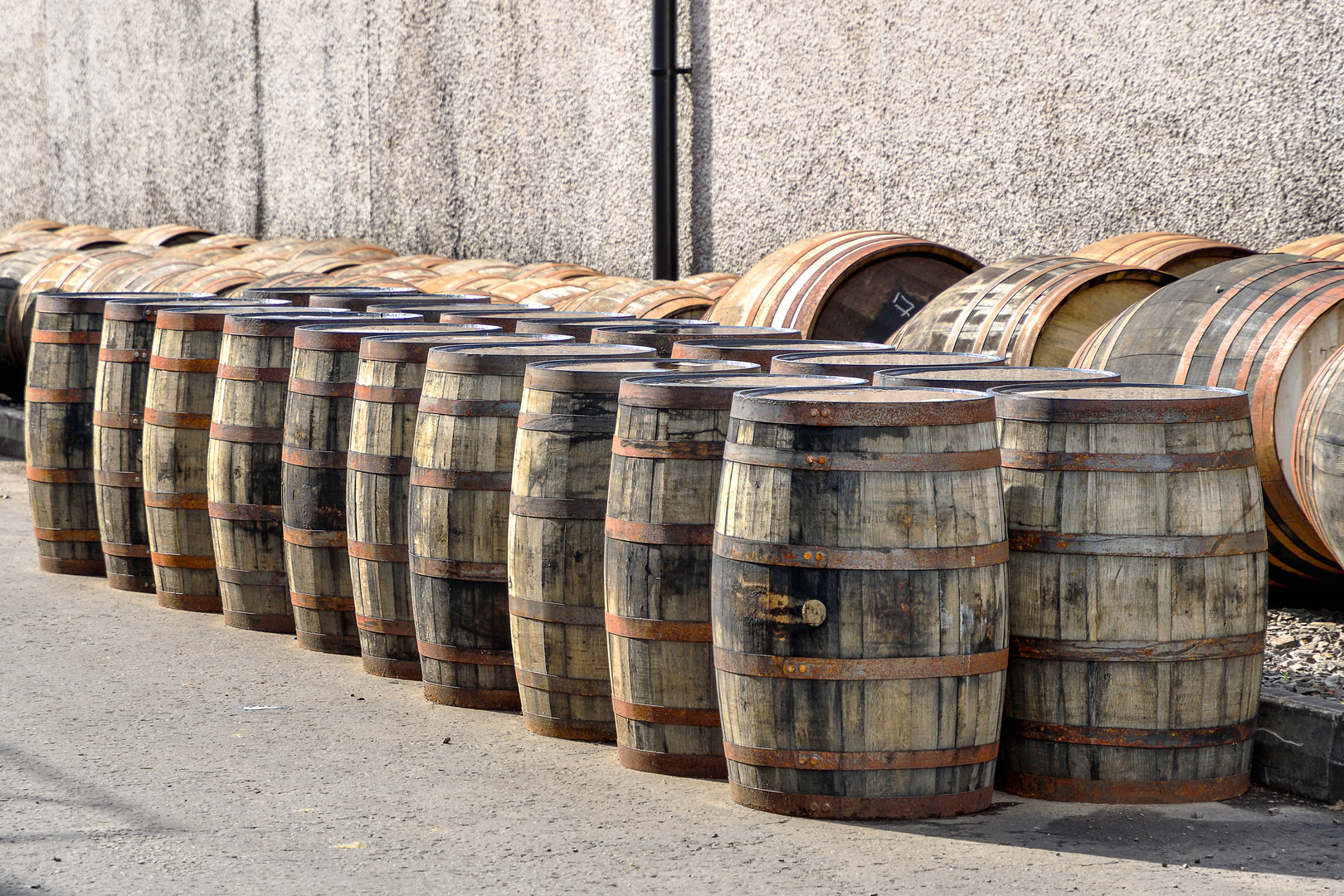 Casks @ Glengoyne Distillery