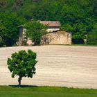 Casolare di Campagna Reggiana