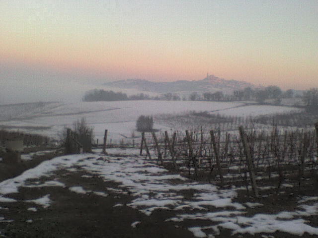 Casorzo-Vignale sopra la nebbia