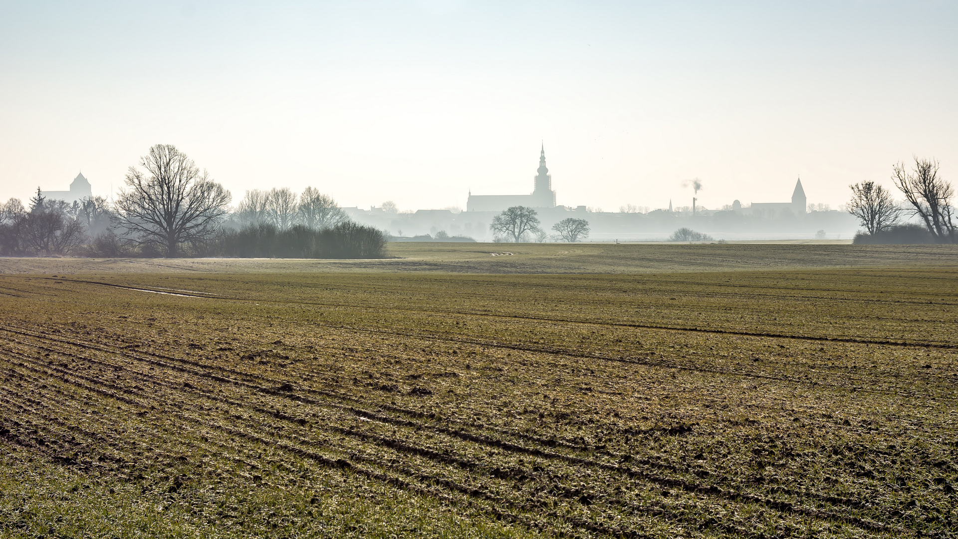 Caspar David Blick im Morgennebel auf Greifswald