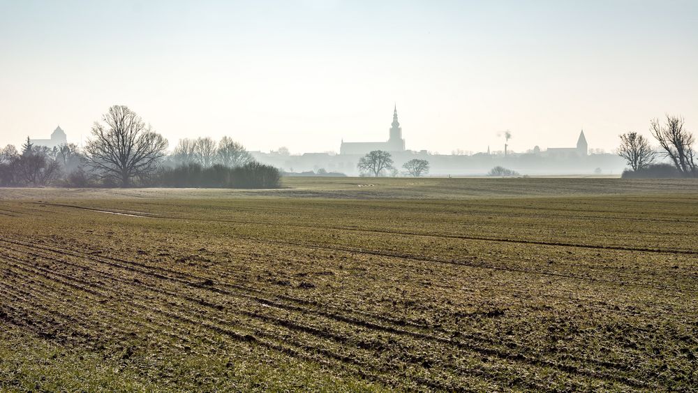 Caspar David Blick im Morgennebel auf Greifswald