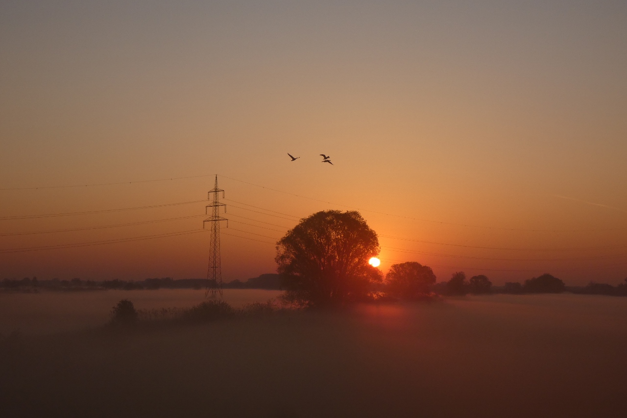 Caspar David Friedrich : blick über den Nebel der Ahsewiesen