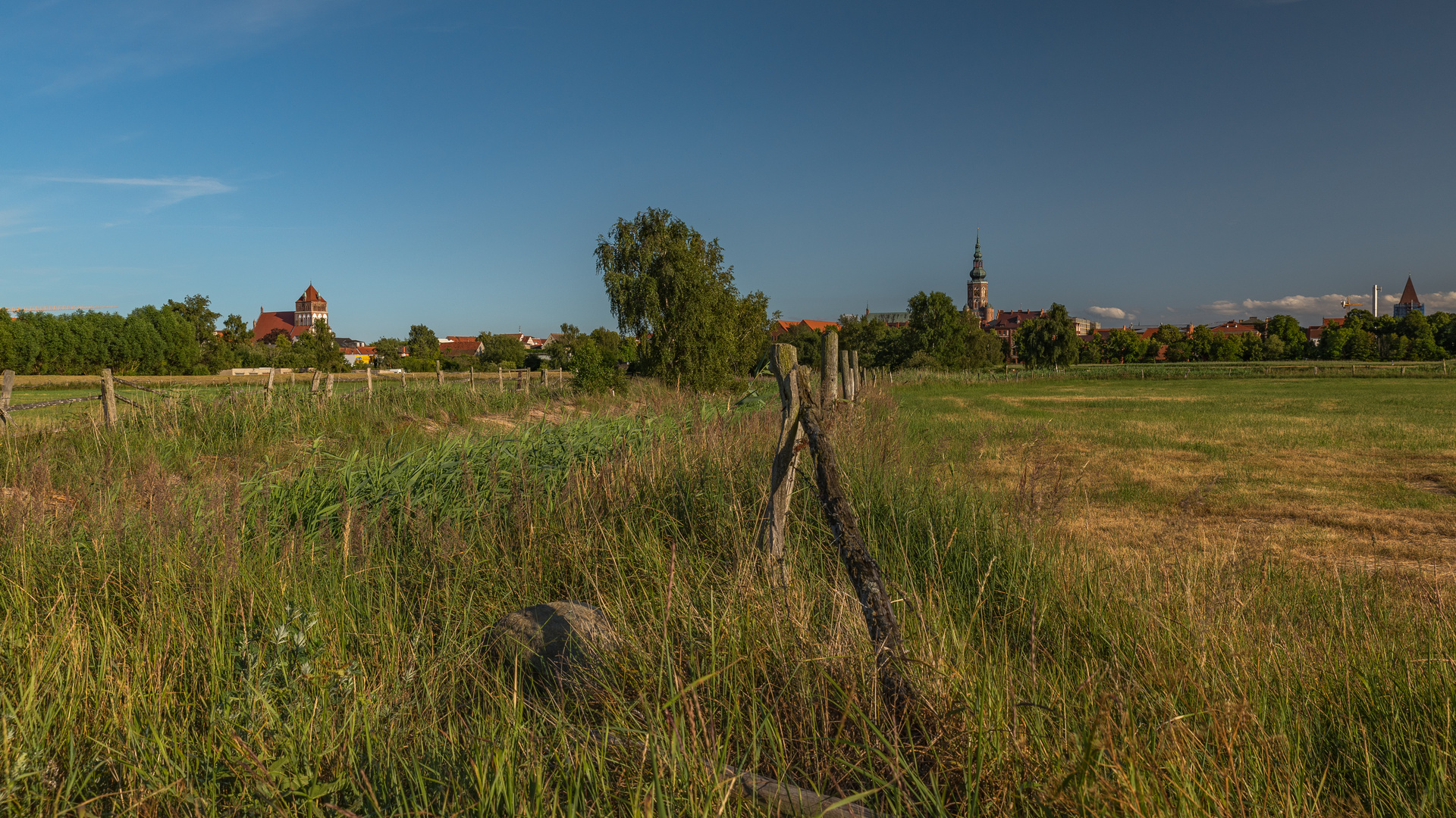 Caspar David Friedrich Sicht / Wiesen vor Greifswald 