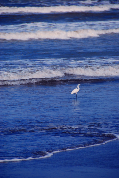 Caspian Sea - Ramsar, Iran Autumn 2008 photo image | landscape, sand & sea, nature images at photo community