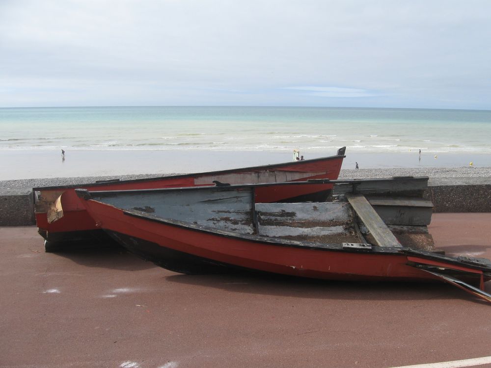 ...Cassée par la tempête...