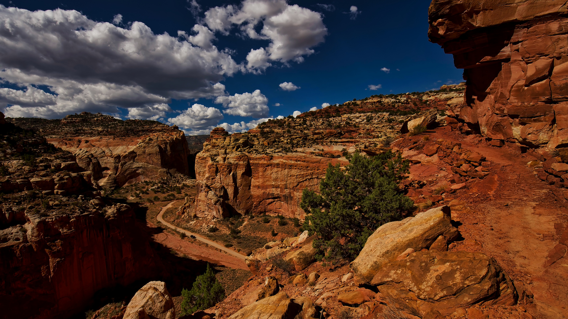 Cassidy Arch Trail