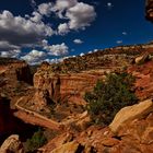 Cassidy Arch Trail