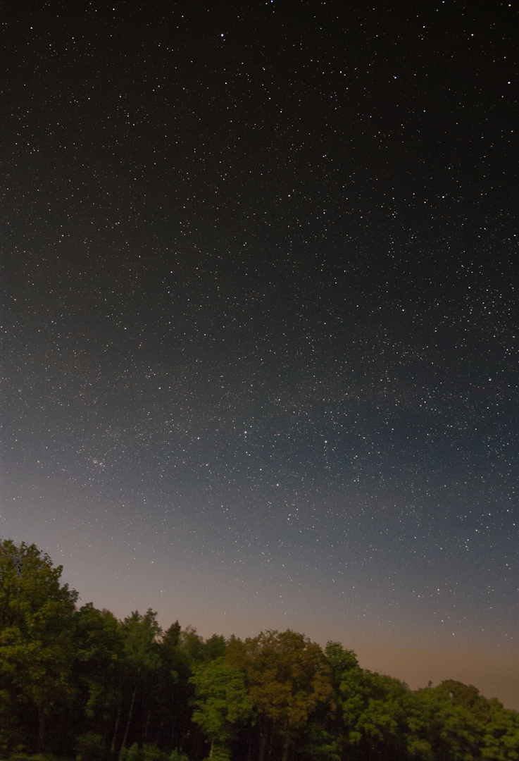 Cassiopeia über dem Wald