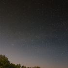 Cassiopeia über dem Wald