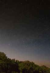 Cassiopeia über dem Wald