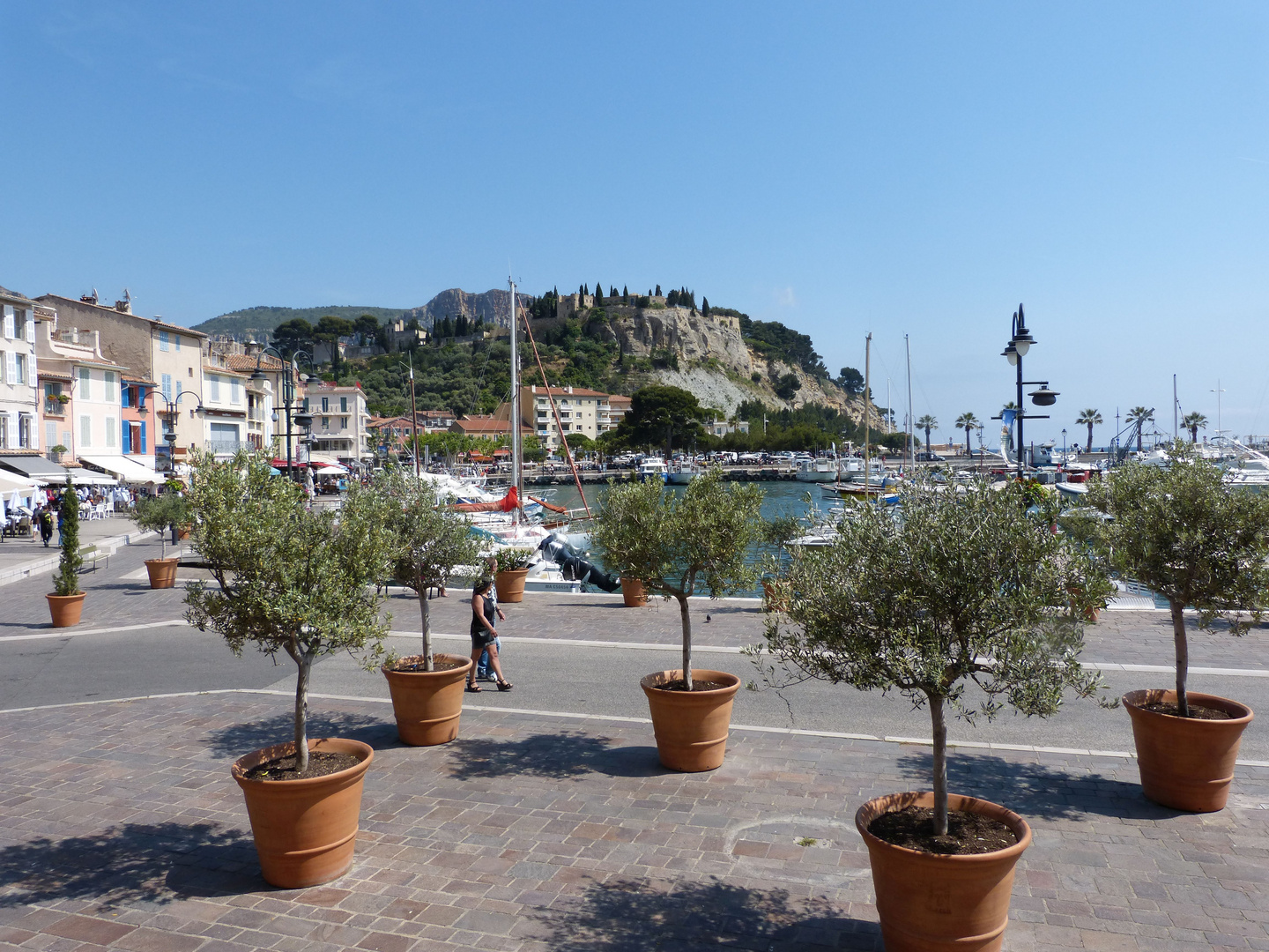 Cassis