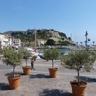 Cassis