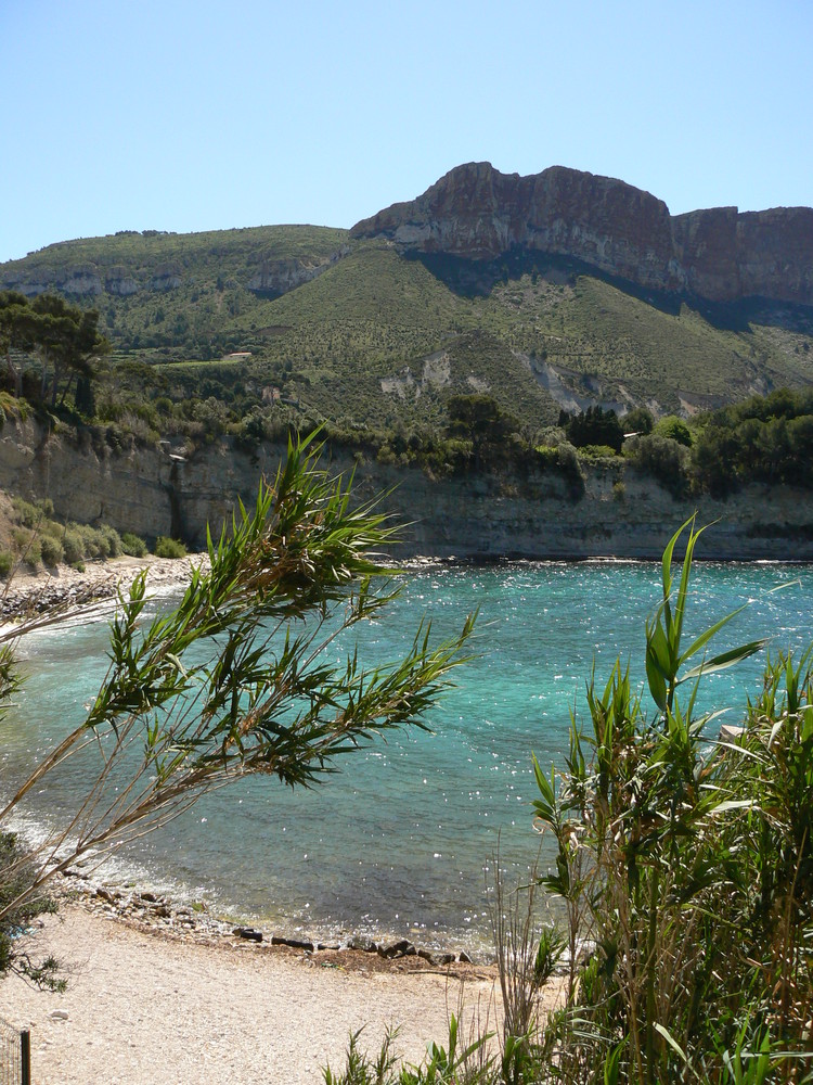 cassis