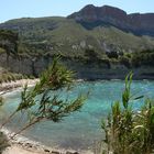 cassis