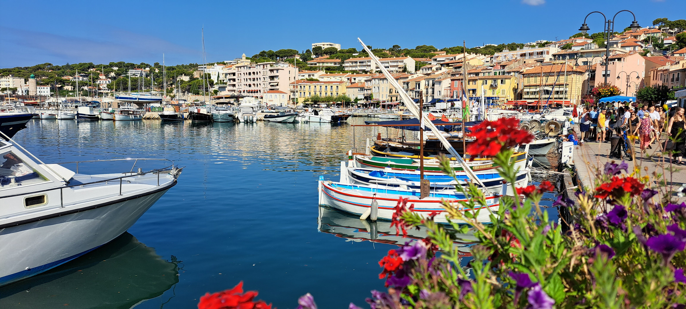 CASSIS FRANCIA