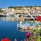 CASSIS FRANCIA