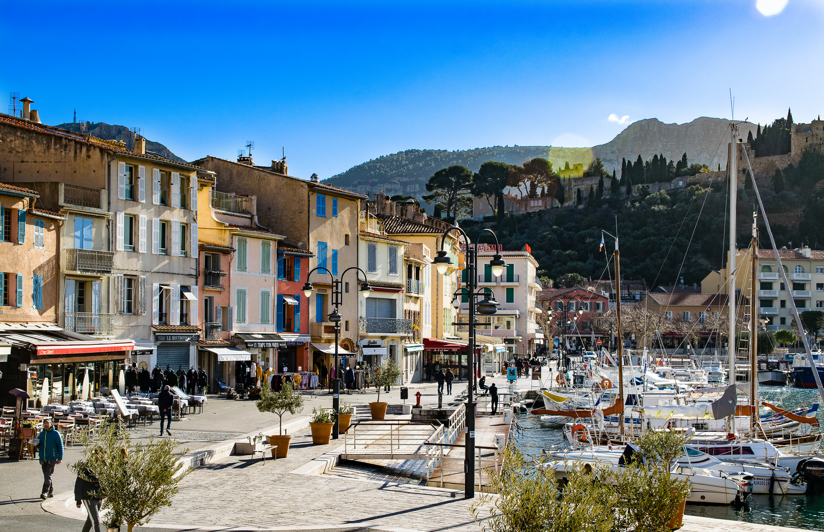 Cassis im Winterschlaf