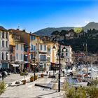 Cassis im Winterschlaf