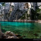 Cassis, la calanque d'en vau