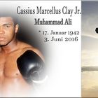 Cassius Clay