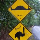 Cassowary Country