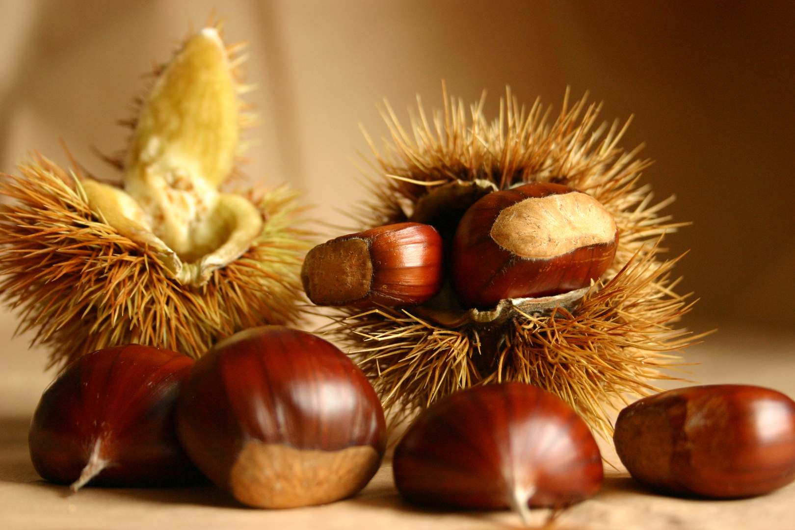 Castagne