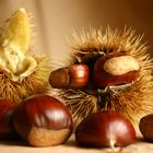 Castagne