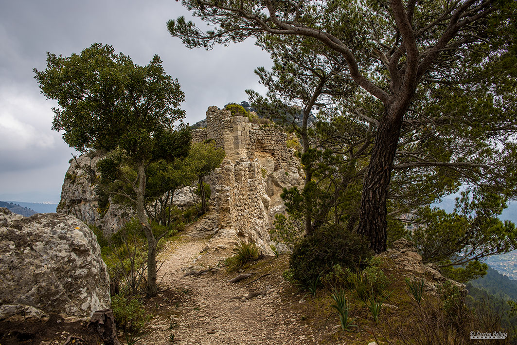 Castel d'Alaro