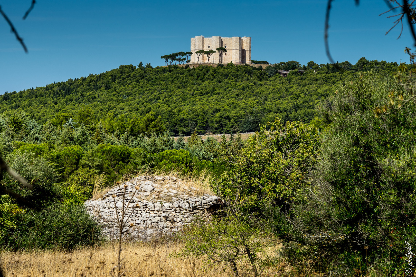 Castel del Monte 2