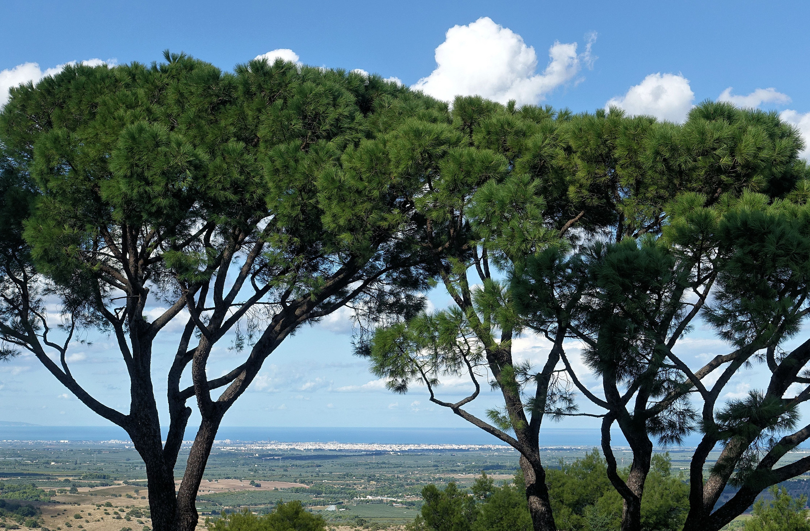 Castel Del Monte  4