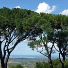 Castel Del Monte  4