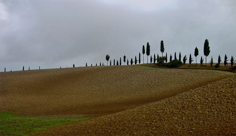 Castelfiorentino