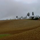 Castelfiorentino