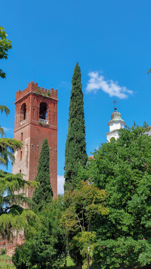 Castelfranco Veneto